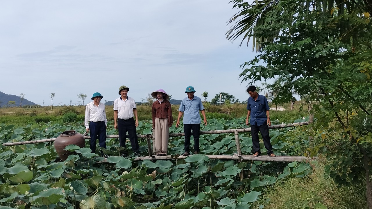 Tham quan, học tập kinh nghiệm các mô hình nông nghiệp điển hình trong tỉnh